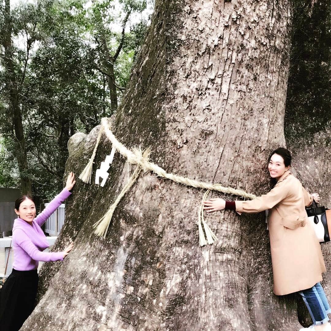 千紗れいなのインスタグラム：「伊弉諾神宮の夫婦大楠🌳🌳🌳 . . 樹齢900年だそうな…😳✨ . . #同期 #同期旅行 #92期 #宝塚 #宝塚og #淡路島 #夫婦大楠 #私は旦那を #出会える様に真剣に抱きつく #夢莉みこ #千紗れいな #スターと珍道中 #運転手はスター」