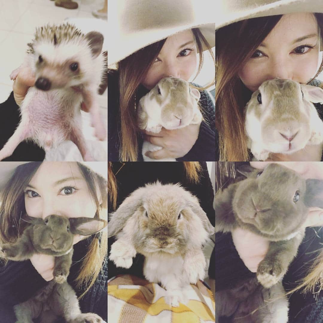 里美ゆりあのインスタグラム：「うさぎカフェ￣(=∵=)￣ #可愛すぎた♪#はりねずみ#うさぎ #カフェ」