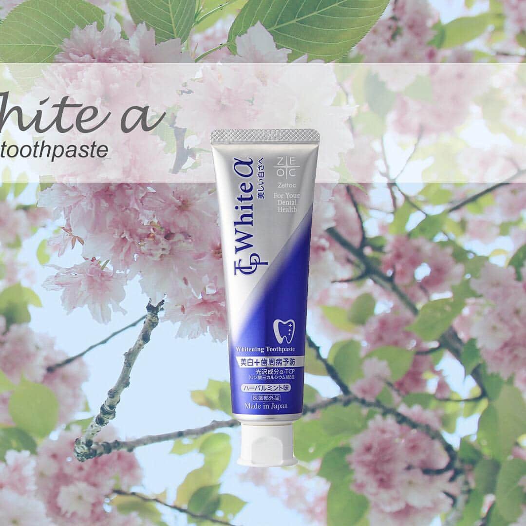 Nippon Zettoc Co.,LTDのインスタグラム：「As bright as Sakura leaves bathing in the early spring sunshine. Healthy shiny teeth with TCP Alpha. #zettocstyle #toothpaste #smile #lifestyle #madeinjapan #followme #instagood #instalike #sakura #spring #japan #oralcare #healthy」