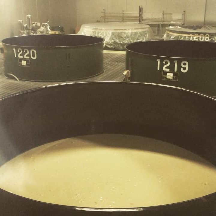 hinacoのインスタグラム：「発酵中！！ #榮川酒造 #磐梯町 #日本酒」