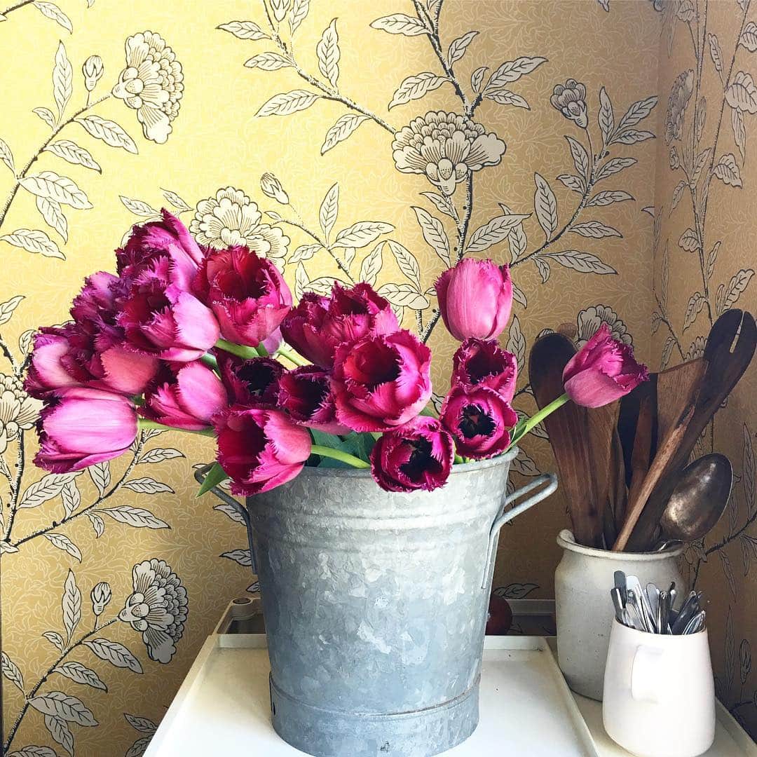 小堀紀代美さんのインスタグラム写真 - (小堀紀代美Instagram)「我が家に春のコーナーが。お花があるって気持ちいい。ありがとう！鮮やかな色にゆとりがなかった心もひらいたー！今日も1日がんばろ〜！」3月22日 8時11分 - likelikekitchen