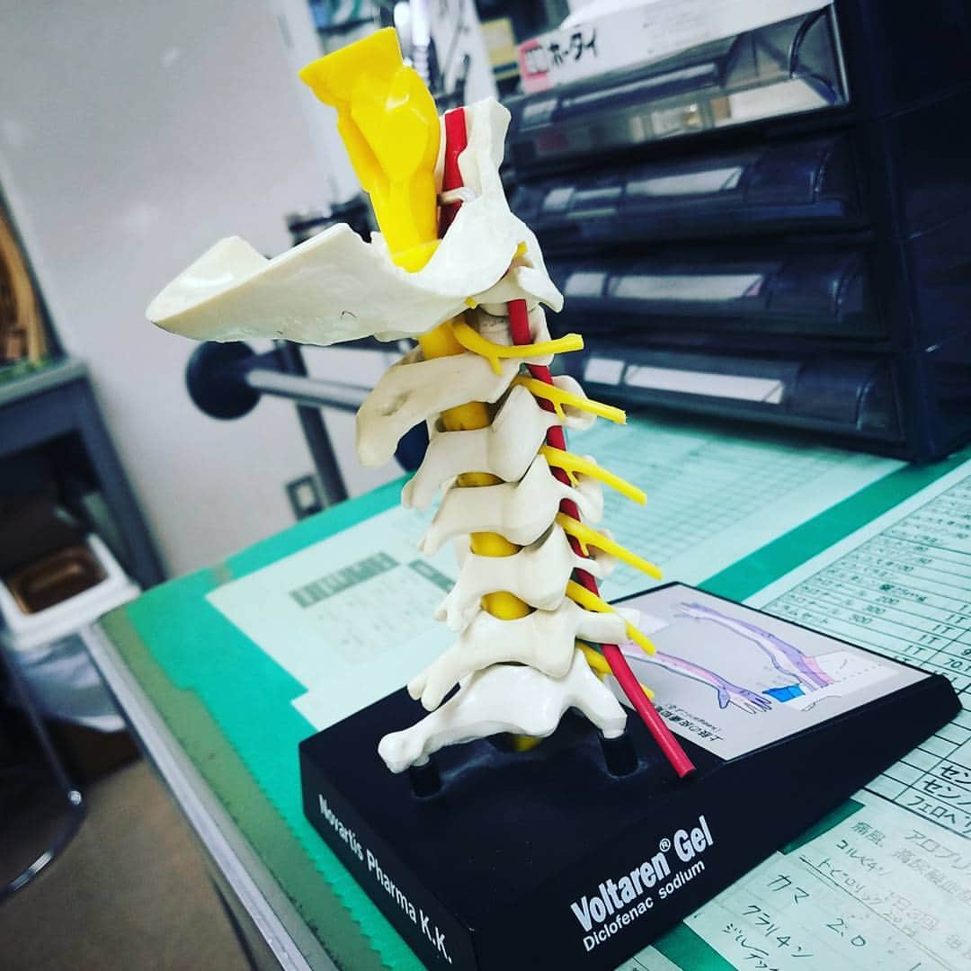のインスタグラム：「肩こりの原因は頸椎からがほとんどです。  銀座院、品川院では肩こりボトックス、プラセンタのツボ打ちの施術があります。順天堂大学整形外科医局に所属し、実家が整形外科の私は美容だけでなく肩こり、腰痛も専門ですので外来でご相談ください。」