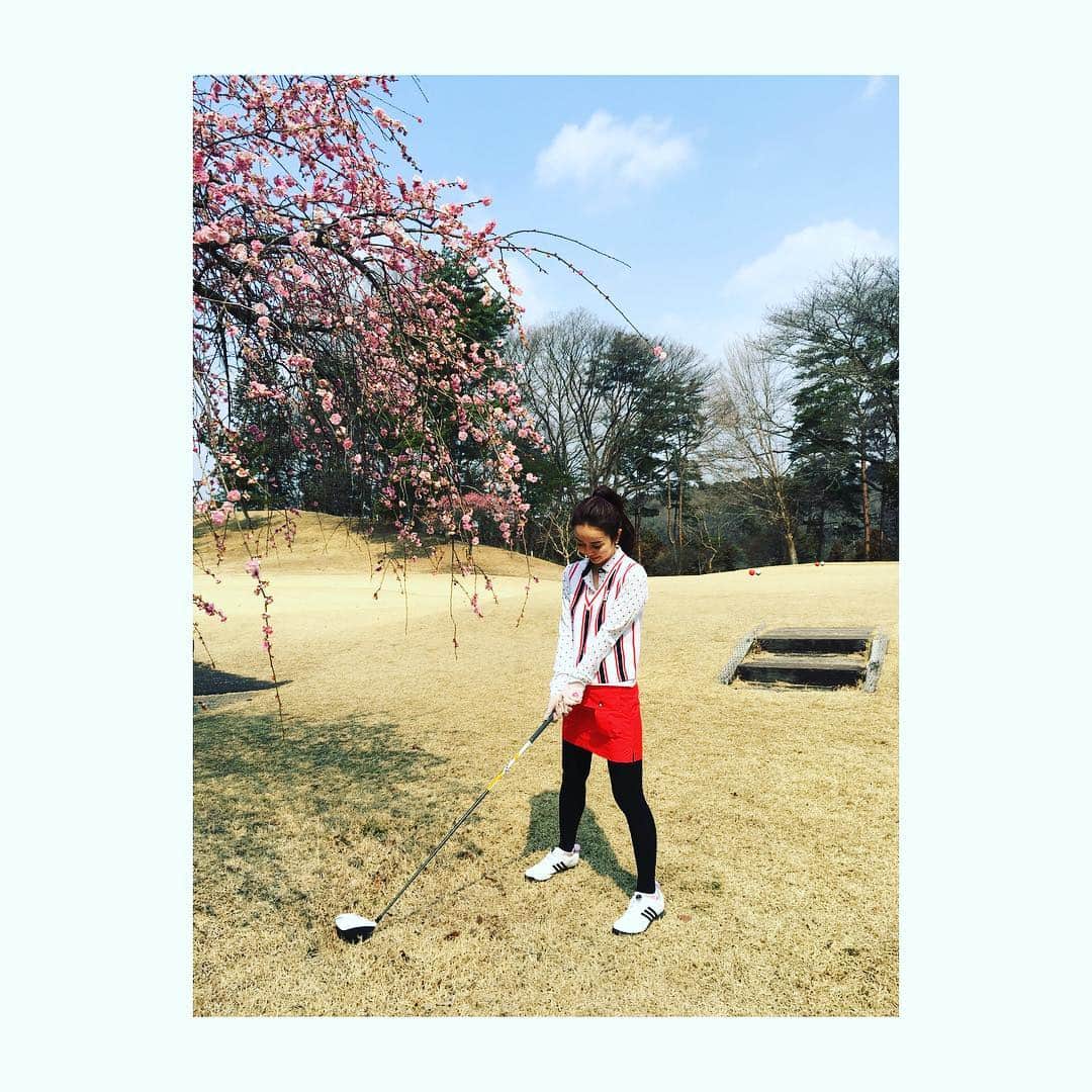 宮崎宣子のグルメインスタ