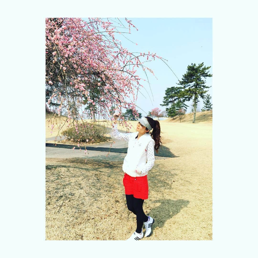 宮崎宣子のグルメインスタ