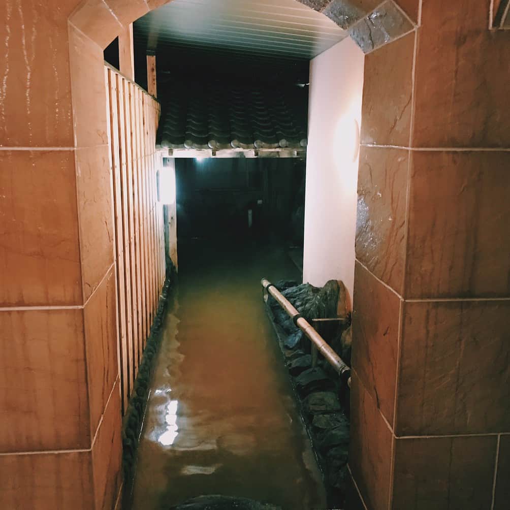 坂田陽子のグルメインスタ