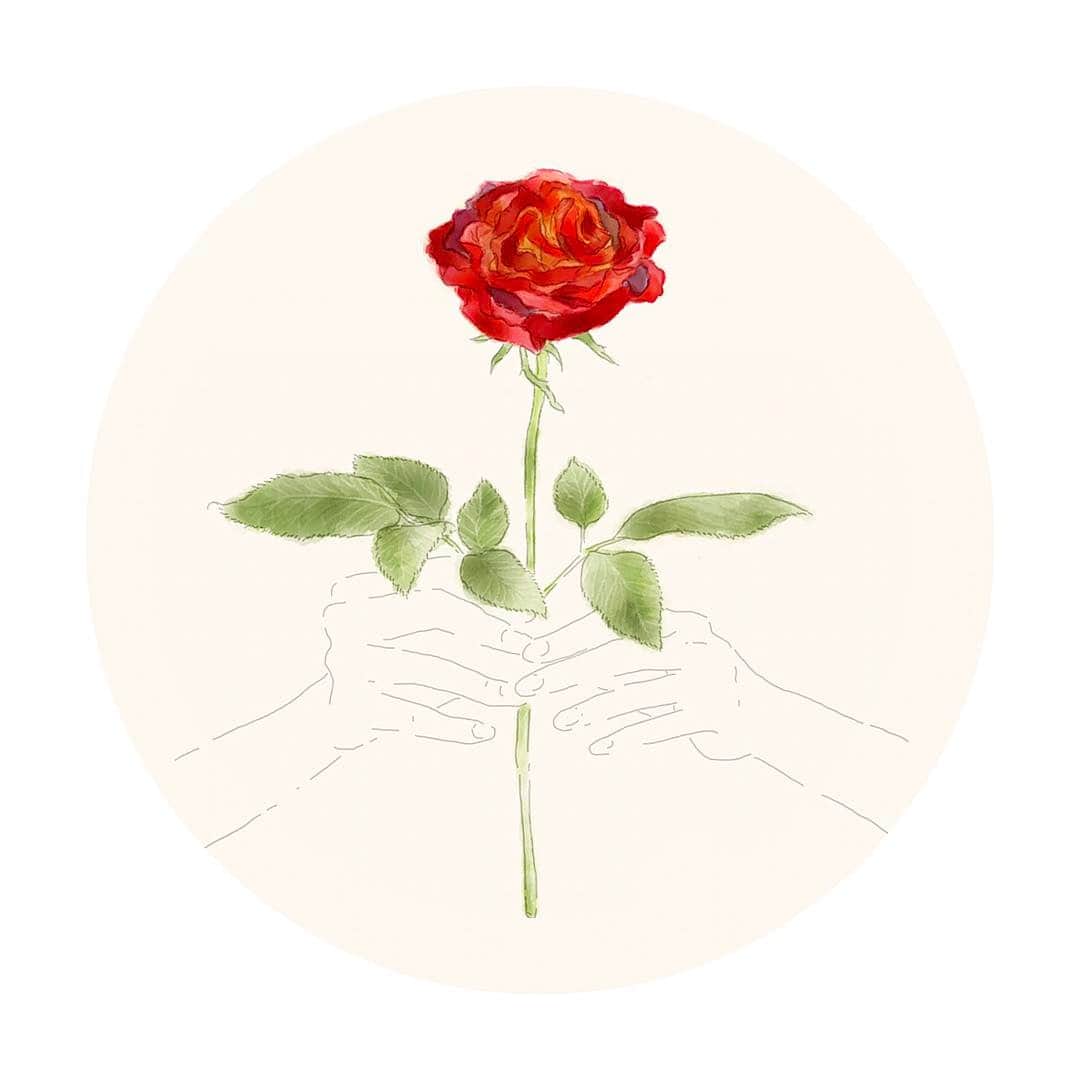 古谷有美さんのインスタグラム写真 - (古谷有美Instagram)「🌹 La vie en rose. ・ ・ #お花を描くのすき #でも最近は花という字がこわい #花粉症じゃない花粉症じゃない花粉症じゃない #lavieenrose#illustration#flower#みんみん画伯」2月28日 14時14分 - yuumifuruya
