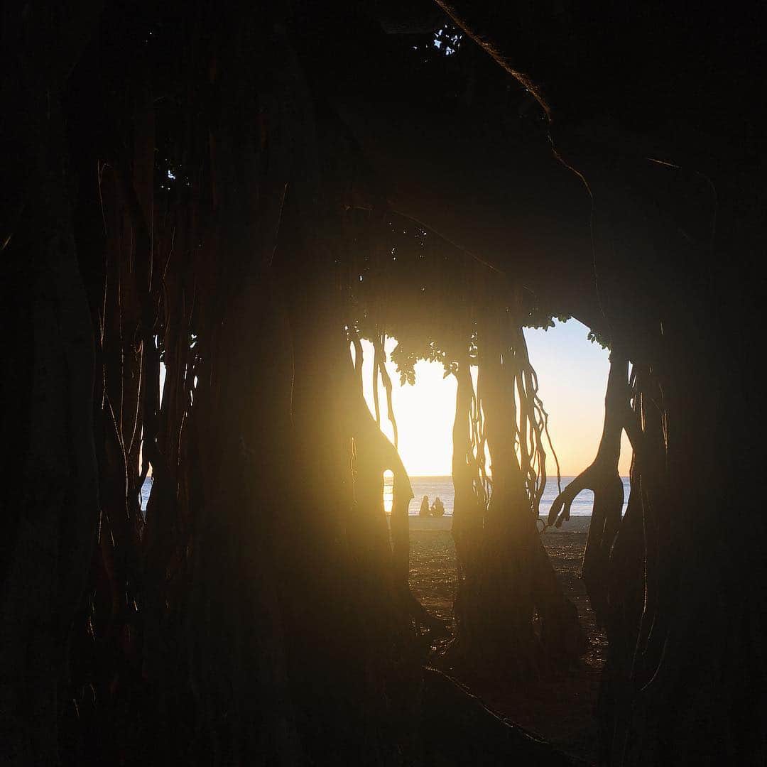 #RINKAgramHawaiiさんのインスタグラム写真 - (#RINKAgramHawaiiInstagram)「#beach #sunset #rinkagramhawaii」3月1日 13時16分 - lealeagram_hawaii