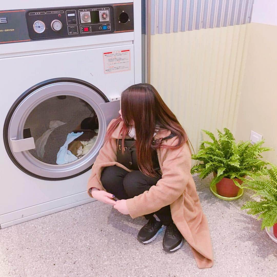 のインスタグラム：「명동 핑크호텔에서 사진을 찍었어요🏩♥️ 핑크호텔은 개 귀여워용!진짜 좋아요>3< . #3ce #stylenanda #화장 #한국 #명동 #좋아 #follow #please #팔로우미 #팔로우 #주세요 #韓国 #オススメ #ピンクホテル #スタイルナンダ #人気 #かわいい #귀여워 #韓国オススメ」