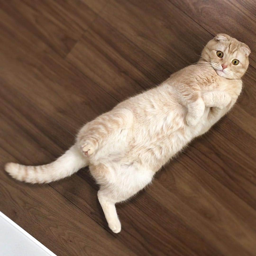 金太のインスタグラム