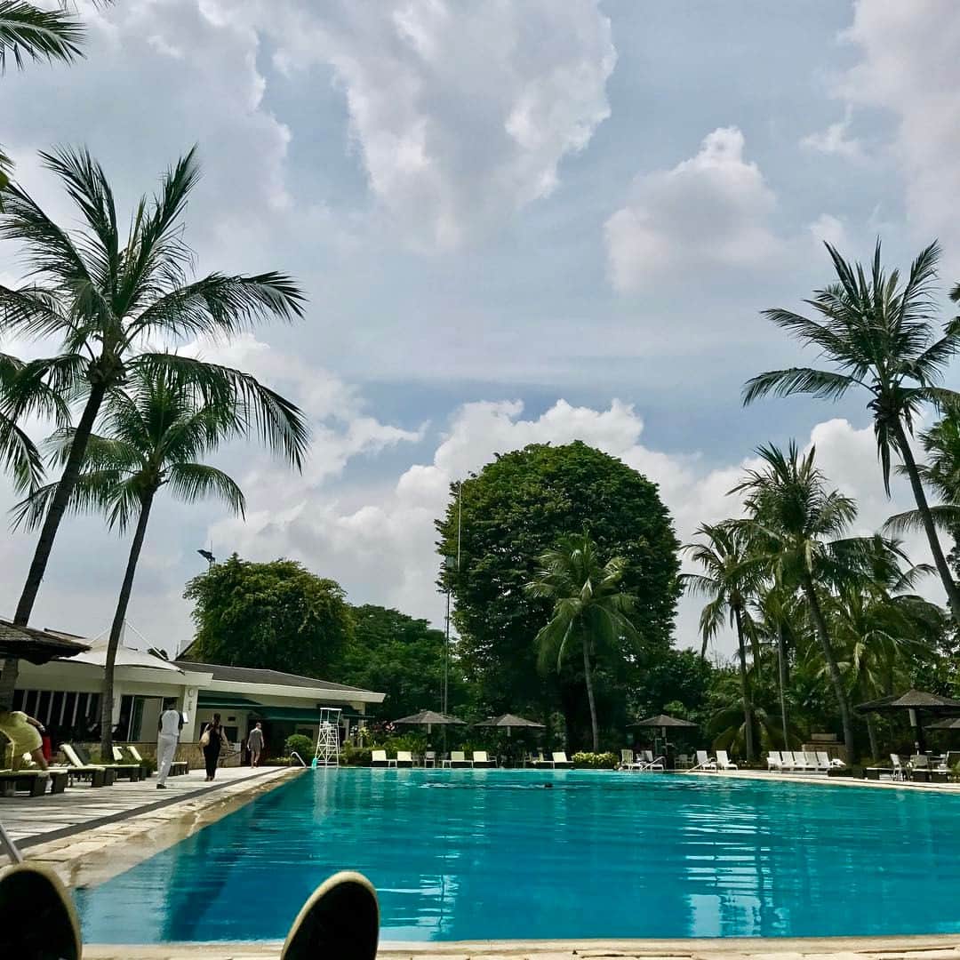 伊藤大地さんのインスタグラム写真 - (伊藤大地Instagram)「ジャカルタ ボロブドゥールホテル  30年前の思い出詰まった素敵なホテル。プールと広い庭最高。」3月4日 4時07分 - trimtrab88