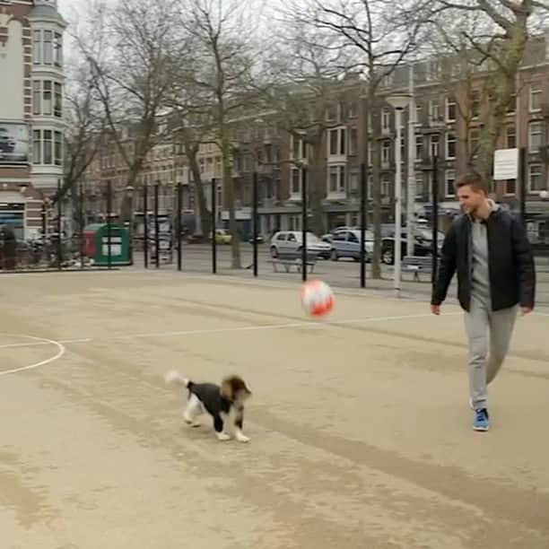 ジョエル・フェルトマンのインスタグラム：「Kijk aankomende zondag naar een nieuwe aflevering van Nino leert voetballen, op het YouTube kanaal van @nino_wilkes. ⚽️👍」