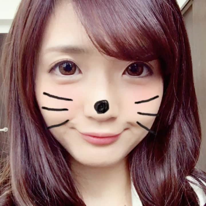 青山はなのインスタグラム：「猫猫猫🐱」