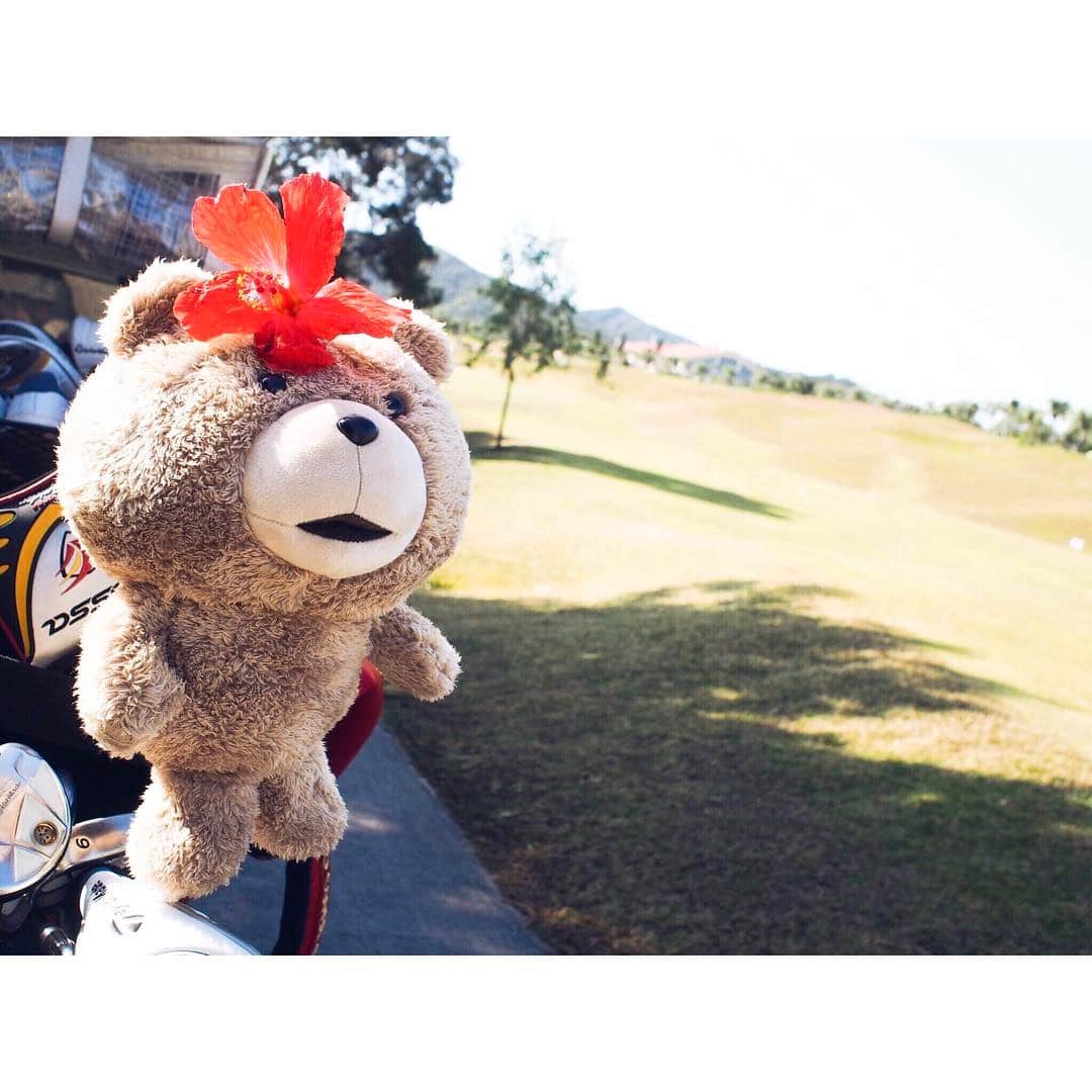 福井仁美さんのインスタグラム写真 - (福井仁美Instagram)「TED in Okinawa🌺 ・ ・ #golf #golfgirl #ドライバーカバー #TED #沖縄 #okinawa #ゴルフ」3月6日 18時31分 - hitton28