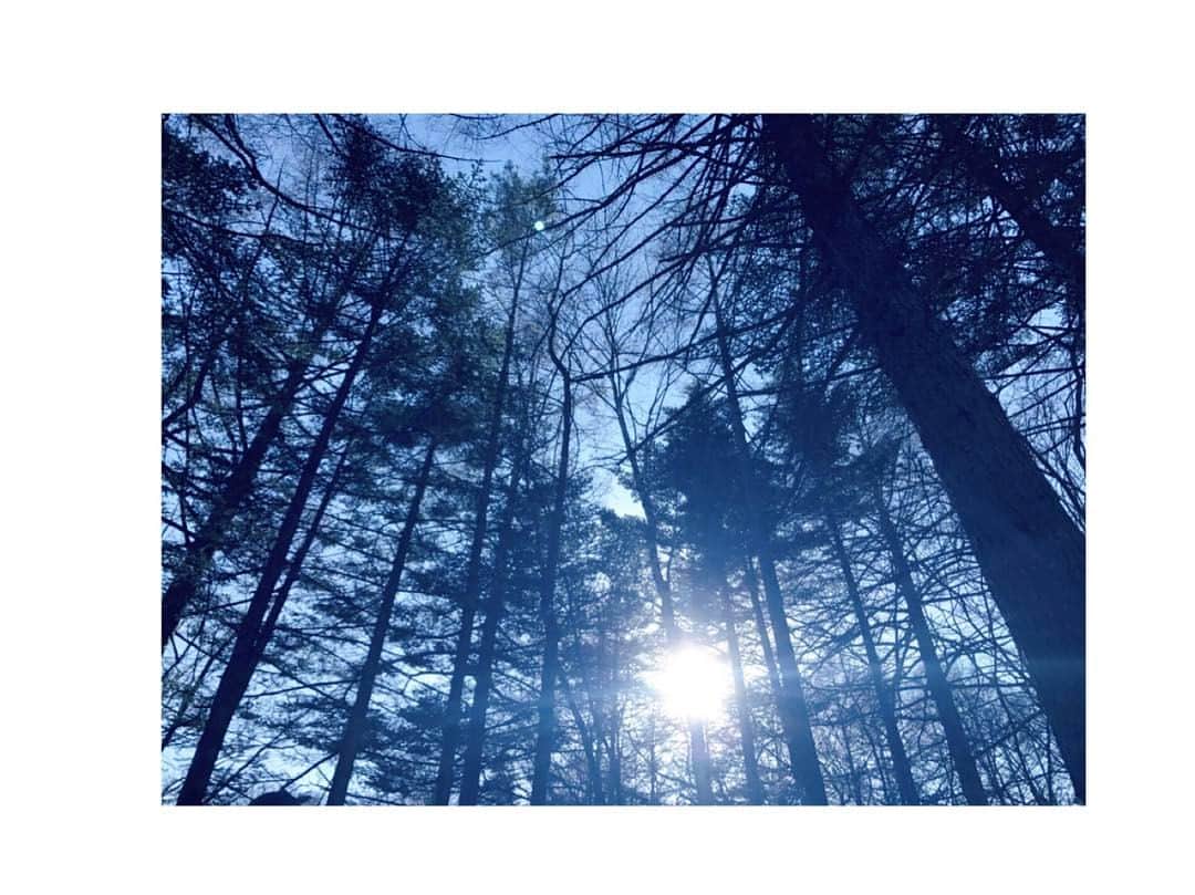 吉岡里帆さんのインスタグラム写真 - (吉岡里帆Instagram)「”カルテット 第8話” あなたはまだ何も知らない。  #カルテット」3月7日 8時20分 - riho_yoshioka