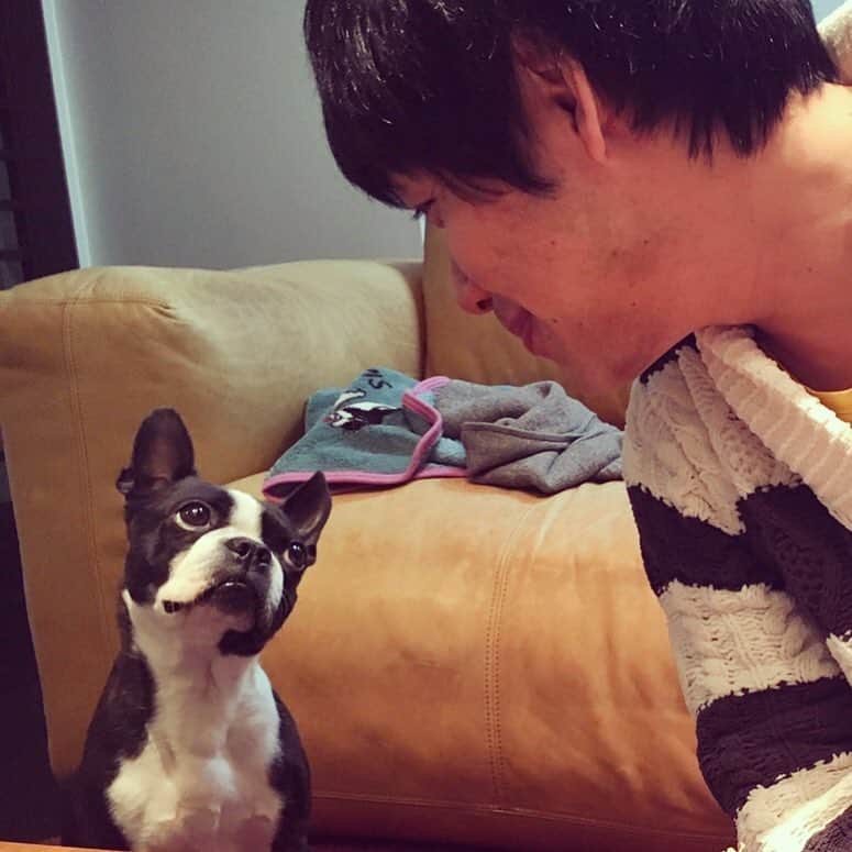 川島明のインスタグラム：「ご飯食べ終わったら散歩いこうと誘ったら「ほんとに〜？」みたいな顔された瞬間。」