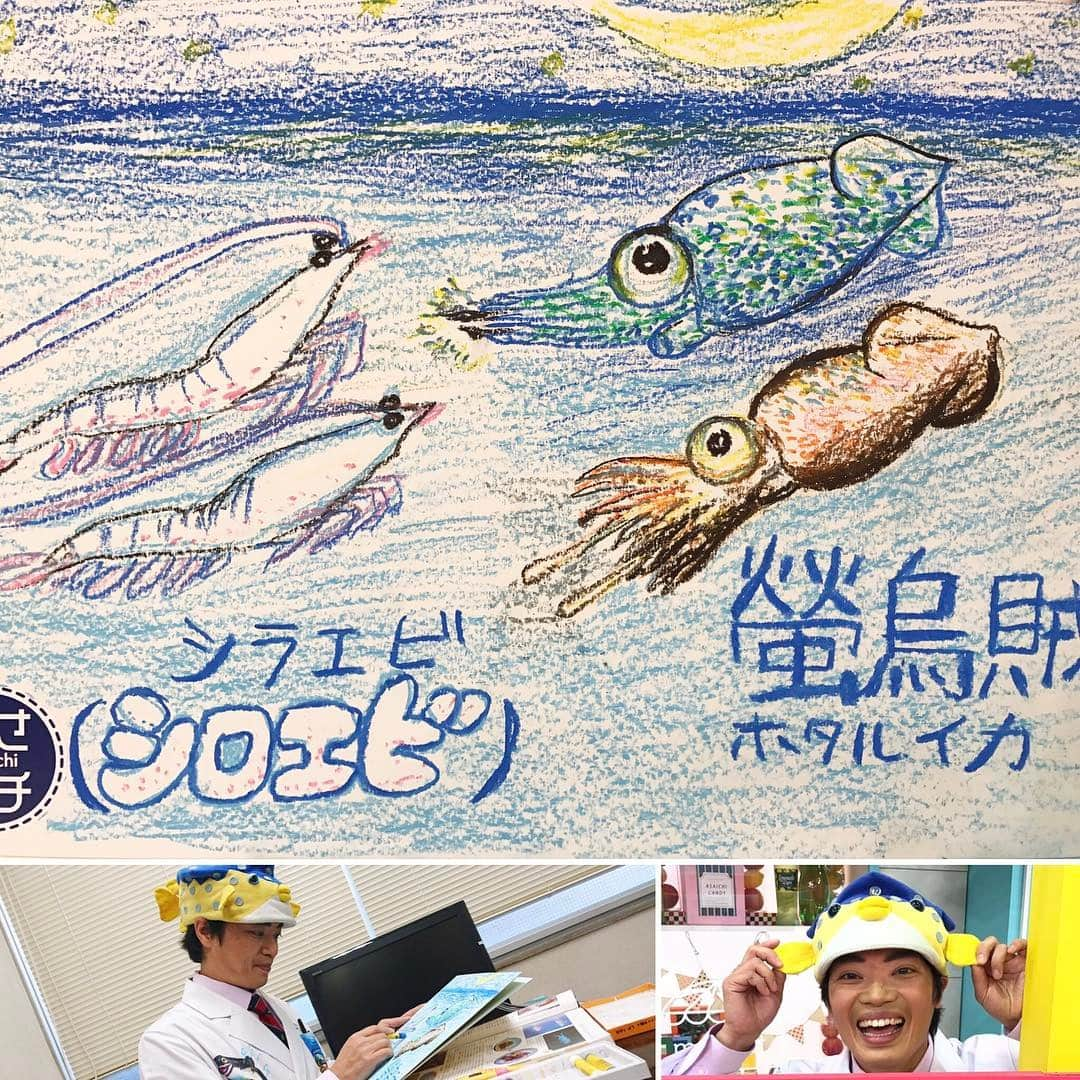 あさイチさんのインスタグラム写真 - (あさイチInstagram)「本番前の控え室のさかなクンさん🐡 20分で色も塗って、描いてくれました🖌✨ #さかなクン さん #🐟 #しろえび #ホタルイカ #あさイチでは恒例の #イラスト 🖌 #あまりの早さにスタッフが #ぎょぎょぎょ 👀⚡️ #fish #nhk #あさイチ #8時15分から」3月9日 11時50分 - nhk_asaichi