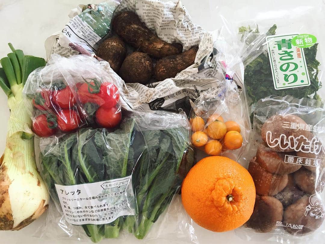 早坂香須子さんのインスタグラム写真 - (早坂香須子Instagram)「三重県の志摩から、志摩野菜と海の恵みをお取り寄せ。 久しぶりにゆっくり家ごはんできる今夜。 素材がいいと、料理が楽しいなぁ〜  #志摩野菜　#iseshima_vegetables」3月10日 21時12分 - kazukovalentine