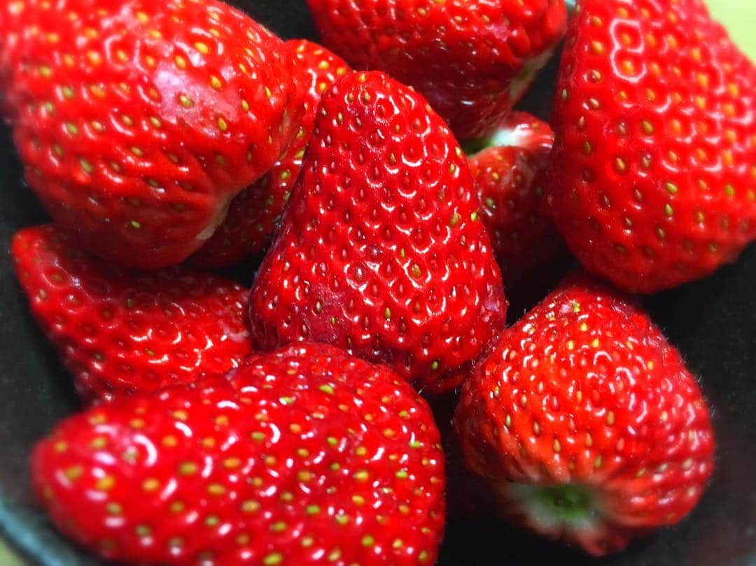 門田茉優さんのインスタグラム写真 - (門田茉優Instagram)「い！ち！ご！ #strawberry #delicious」3月10日 21時24分 - mayu_kadota