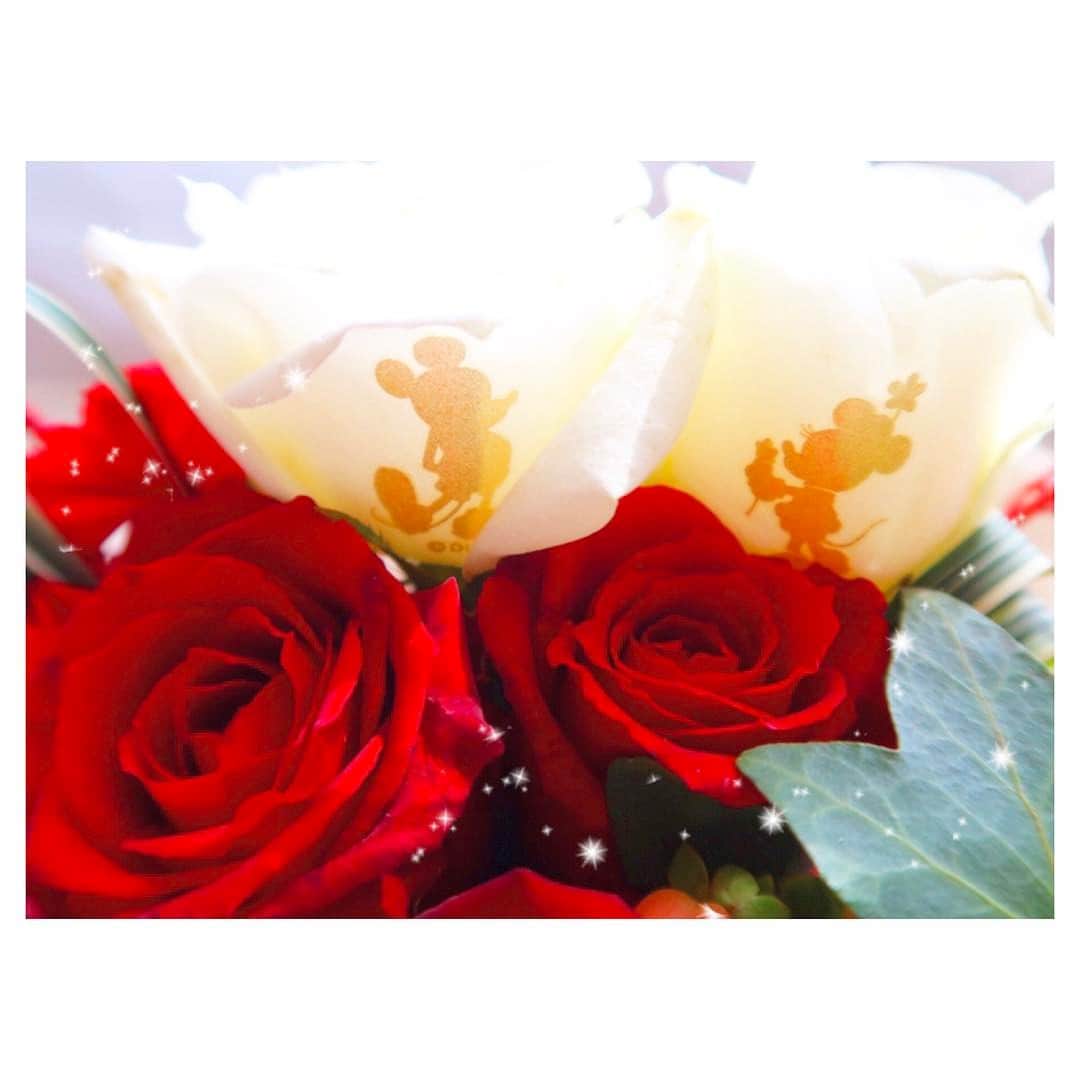のインスタグラム：「薔薇の所にミッキーさん、ミニーちゃんが・・・🌹💗💕何度見ても可愛すぎるお花😍💕✨✨✨✨枯れないで〜〜〜(´；ω；`)⚠️ . #disney #mickey #minnie #flowers #cute #ディズニー #ミッキー #ミニー #花 #かわいい #プレゼント #ありがとう」