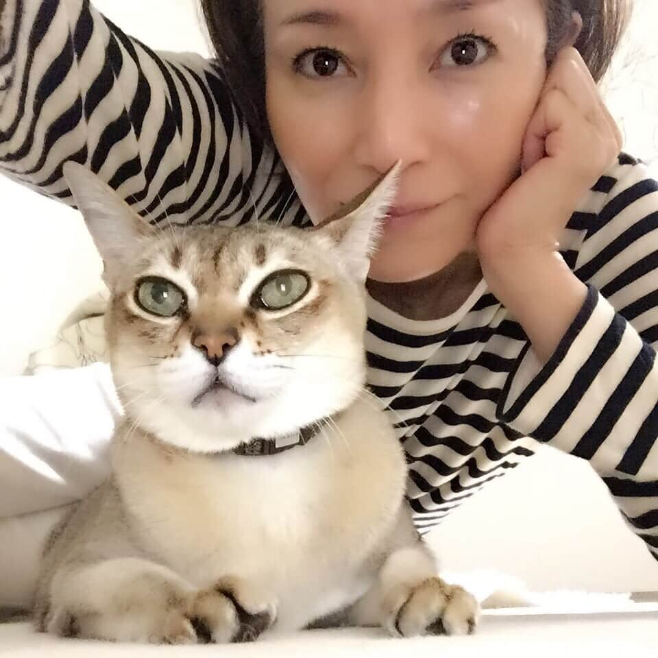 仁科亜季子のインスタグラム：「久々ぷーにゃฅ^•ﻌ•^ฅ ぷーにゃも春は眠そう😪」