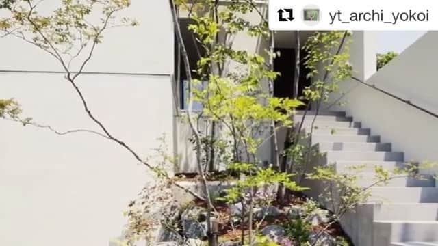 feve casaのインスタグラム