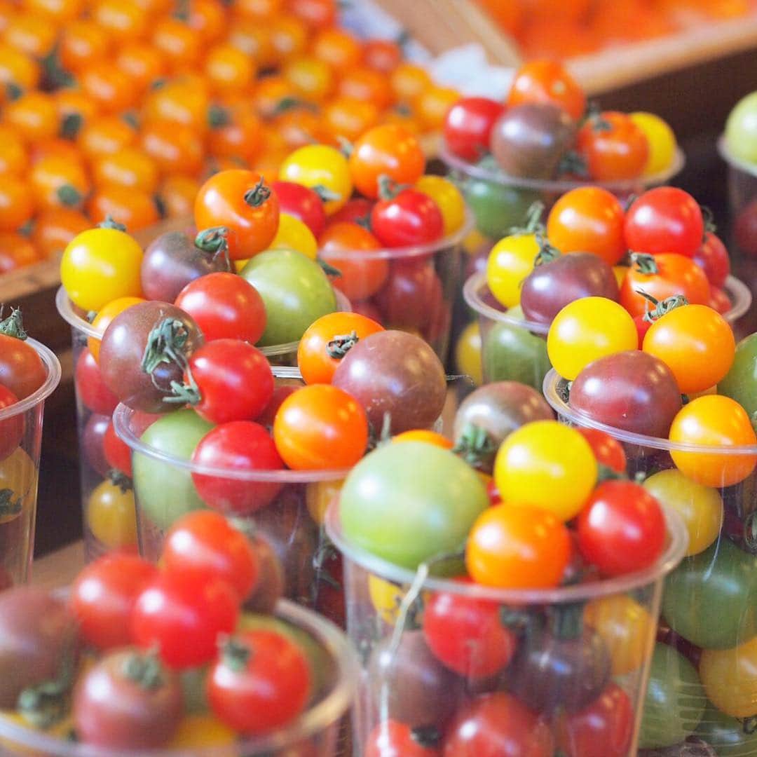 日比谷パレスのグルメインスタ