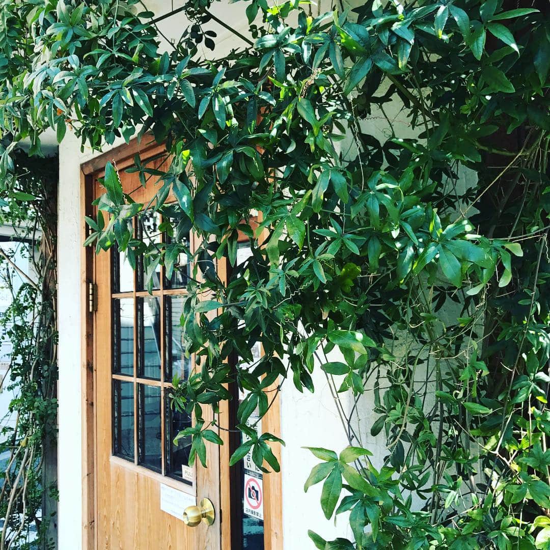 光野桃のグルメインスタ