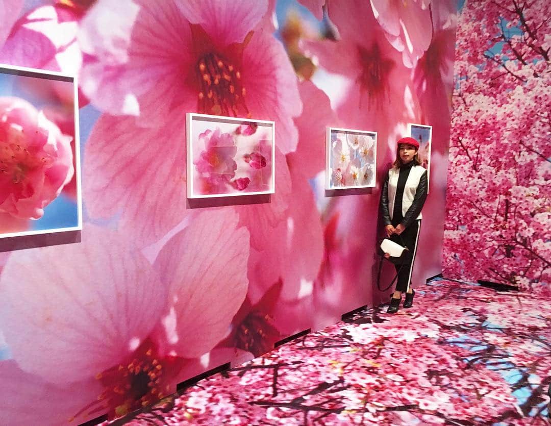 山口リサさんのインスタグラム写真 - (山口リサInstagram)「今日は蜷川実花展に行ってきました💜鮮やかな色と、対照的な闇や人間のエゴみたいなものが写真とこの空間から訴えてくるようでした…  この桜の空間は国内で初めて、壁も床も一面覆った作品なんだって🌸ここも素敵だけど、私はPLANT A TREEの作品が好きでした😭  #蜷川実花展 #plantatree #sakura #museum #リサスタグラム」3月12日 21時39分 - yamaguchi_lisa