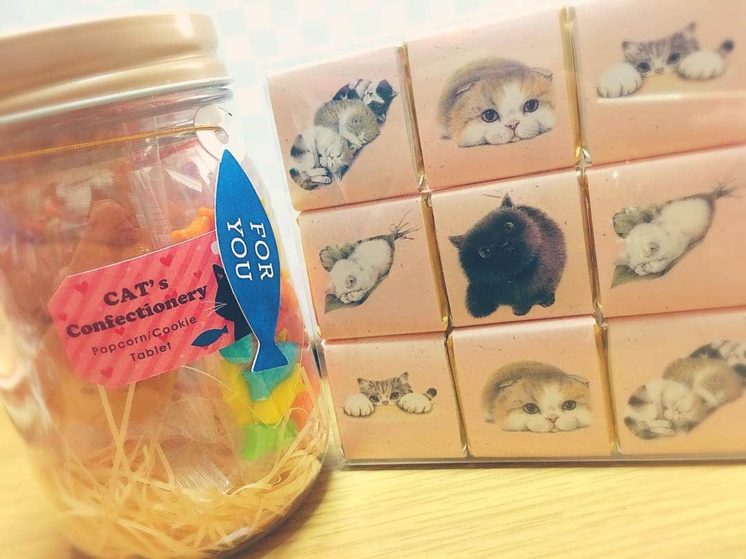 門田茉優のインスタグラム：「とってもかわいい♡ #cat #chocolate #popcorn #cookie #tablet」