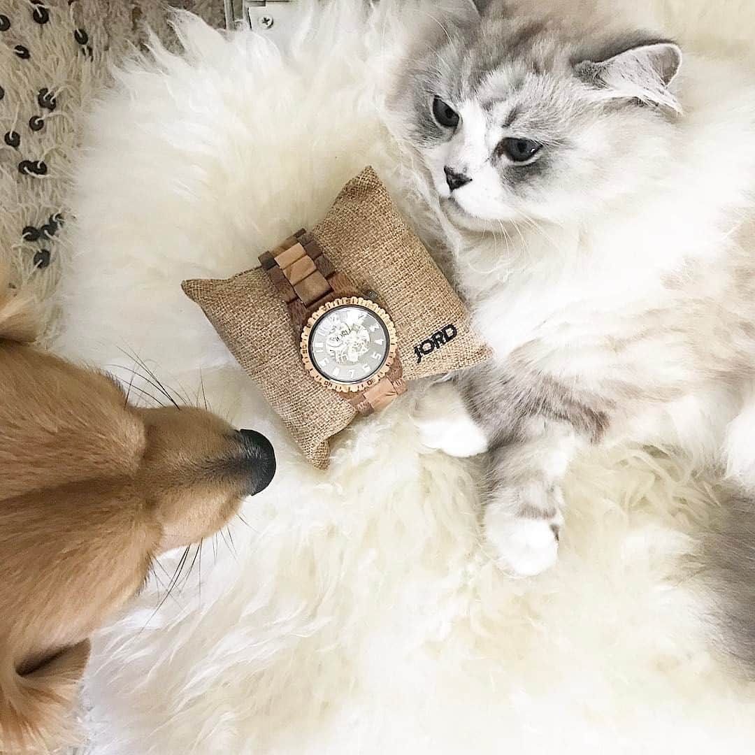 のインスタグラム：「CONGRATULATIONS @jennihirt for winning the @jordwatches contest!! Check your email girlfriend! PS, thank you for all who entered! 😘😘😘 #woodwatches #jordwatch #bffs」