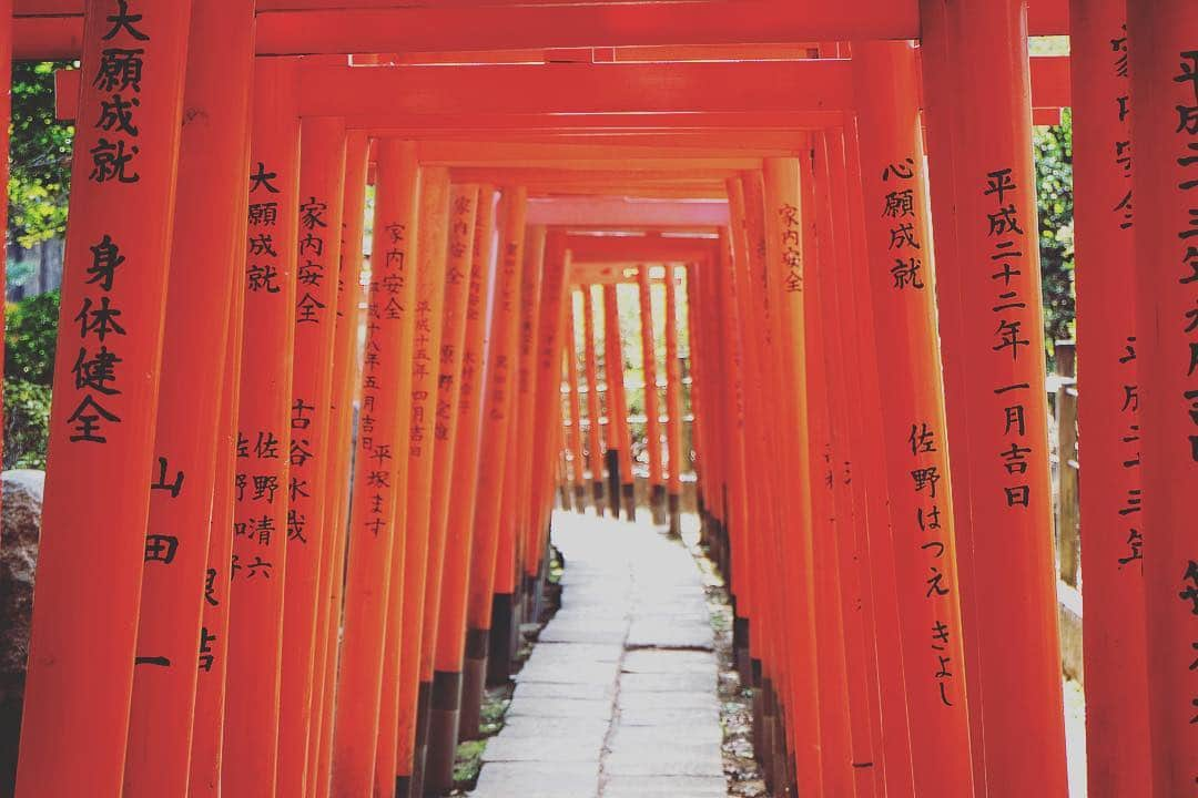 japantripのインスタグラム