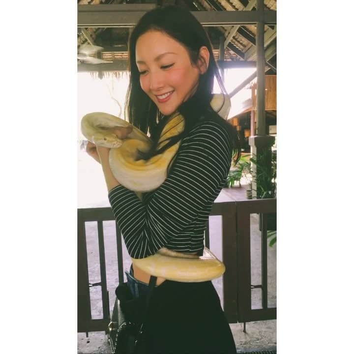 のインスタグラム：「こんにちは、メデューサです🐍💛」