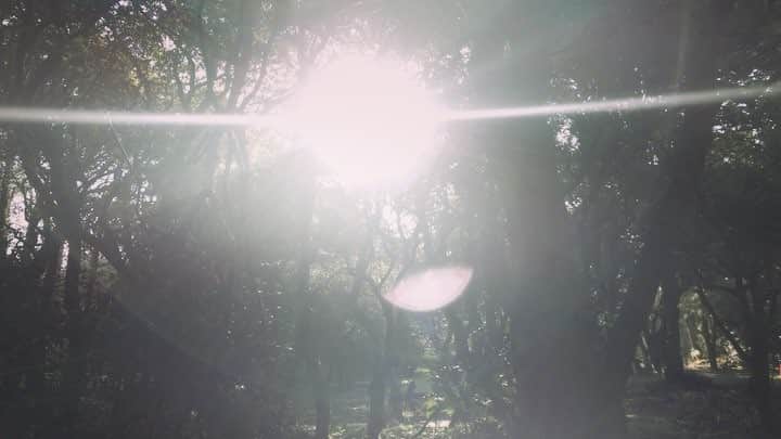 島田大介のインスタグラム：「今日も今日とて #shooting」