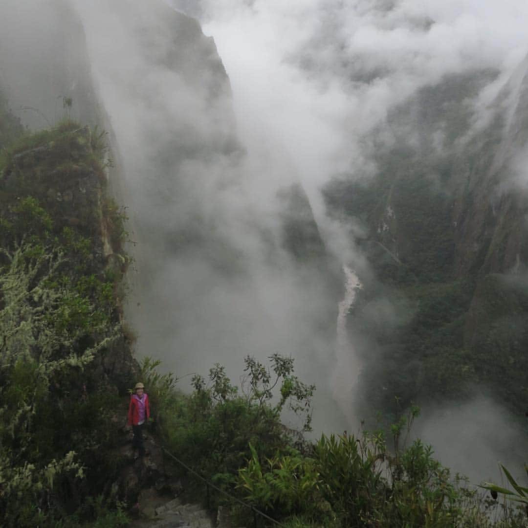久保田智子のインスタグラム：「#Waynapicchu climbing begins. #machupicchu #マチュピチュ #ワイナピチュ #ペルー」