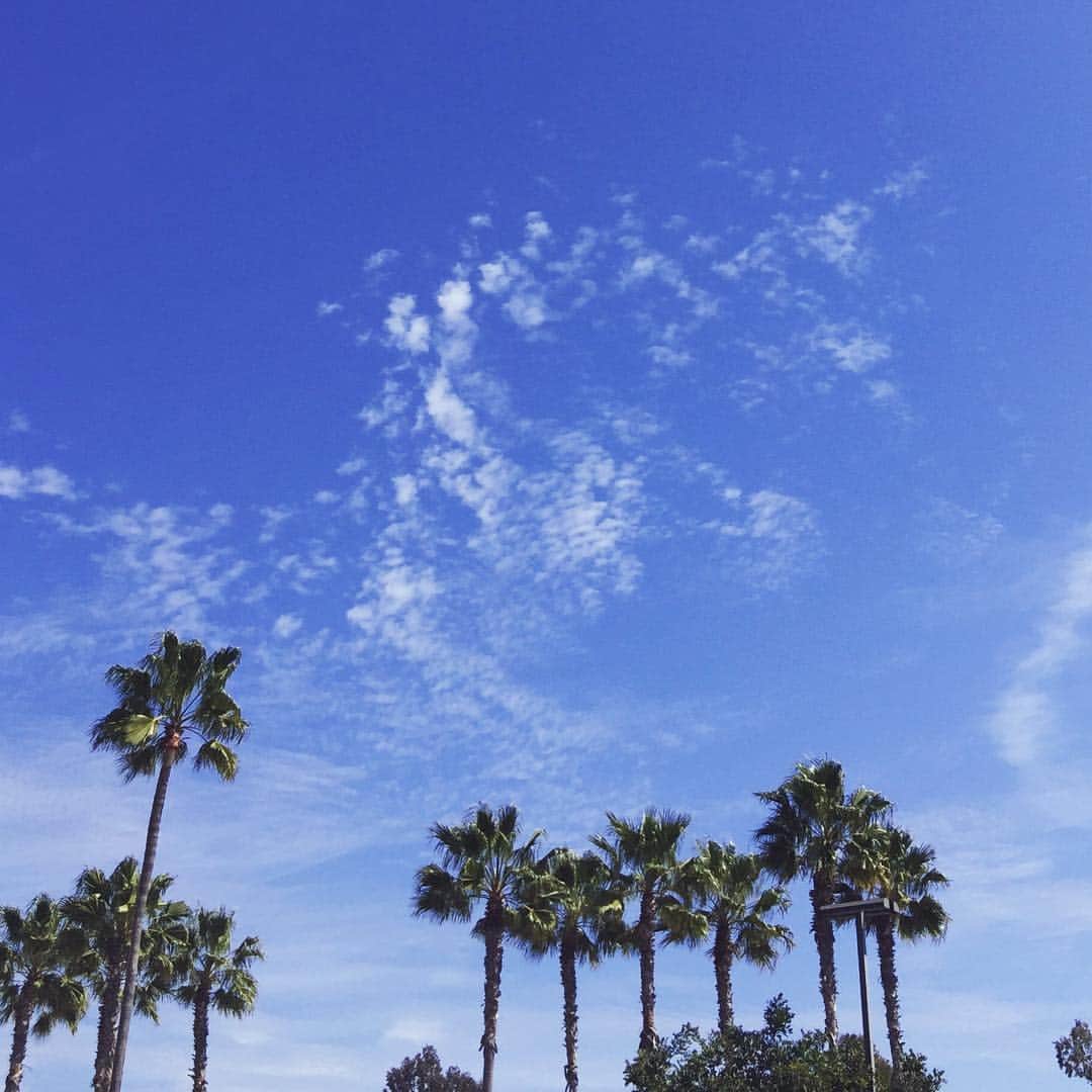 武田久美子さんのインスタグラム写真 - (武田久美子Instagram)「#kumikotakeda #california #sky」3月17日 14時36分 - kumikotakedaofficial