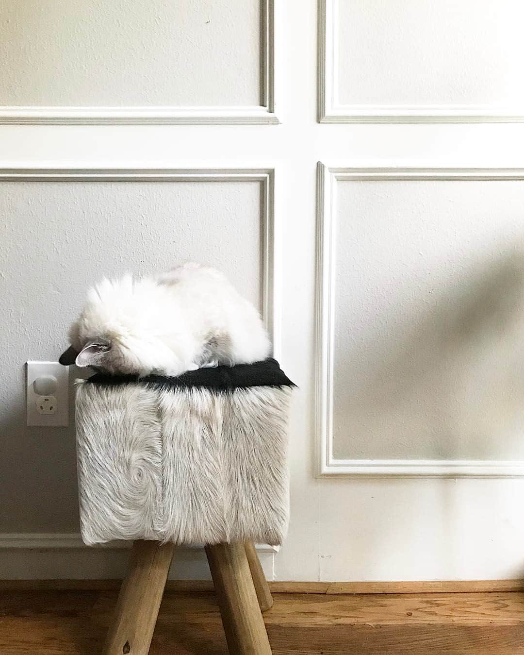 のインスタグラム：「This is what it looks like to give up. Lmao! 🤣🤣🤣🤣🤣🤣🤣」