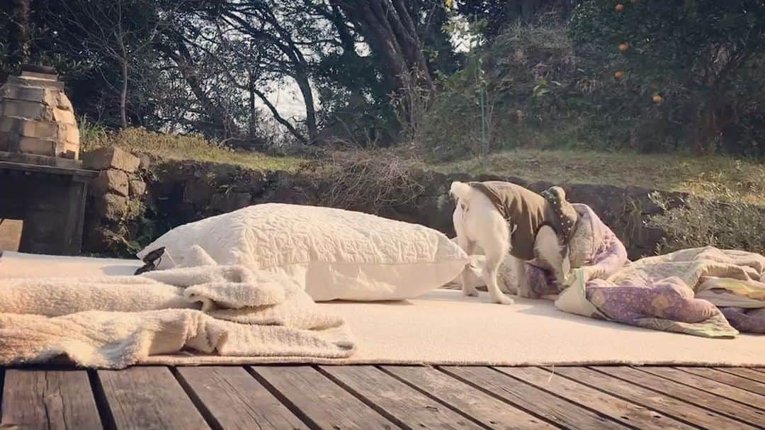 風間ゆみえのインスタグラム：「上手👏  #mairotkhm」