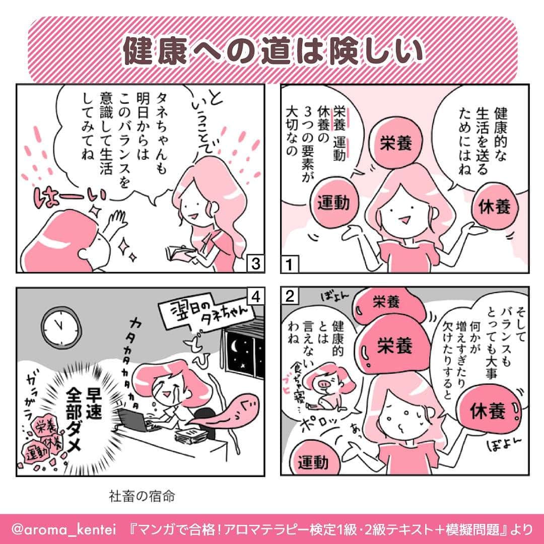 マンガで合格！アロマテラピー検定のインスタグラム：「【健康についての知識】 アロマテラピーをより健康維持に役立てるためには、栄養・運動・休養を中心とした健康についての基礎知識を学び、日頃から健康的な生活を心がけることも大切です😊  #アロマテラピー検定 #アロマテラピー #アロマ #アロマセラピスト #資格 #資格試験 #4コマ漫画 #漫画 #まんが #イラスト #健康 #インプレス」