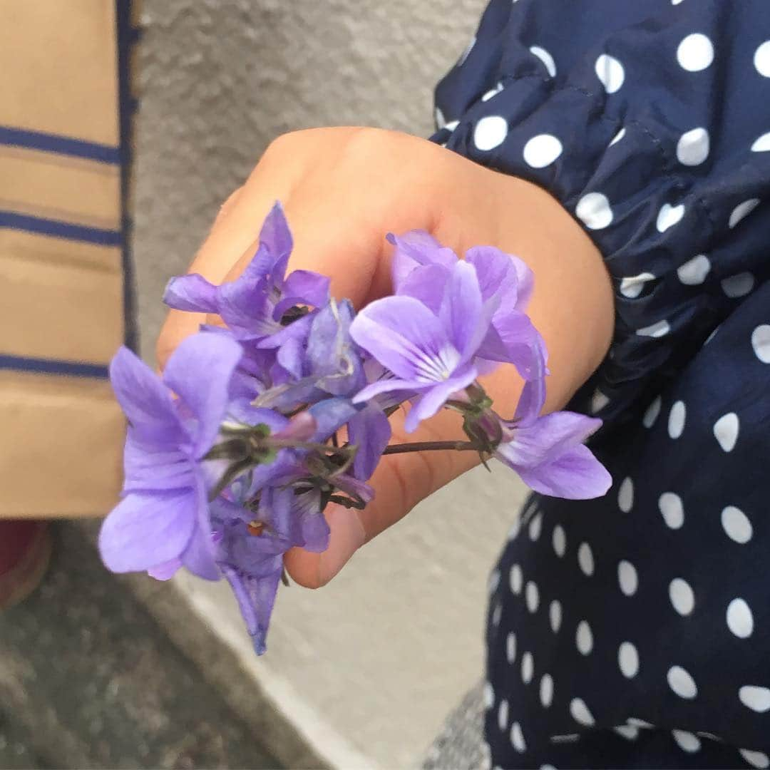 荻原和歌さんのインスタグラム写真 - (荻原和歌Instagram)「最近スミレつみに夢中。#すみれ #violet」4月14日 9時43分 - ogiwaka