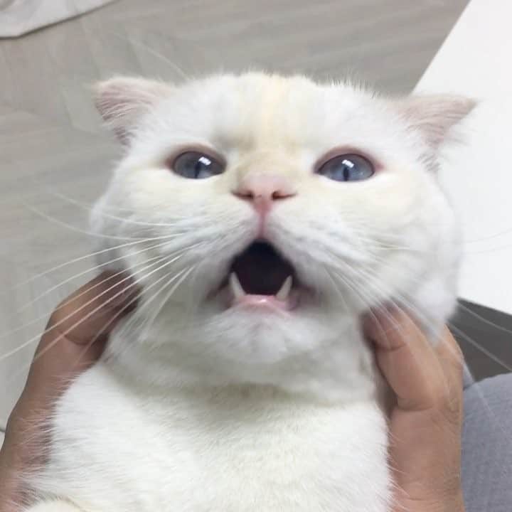 SoonMooのインスタグラム