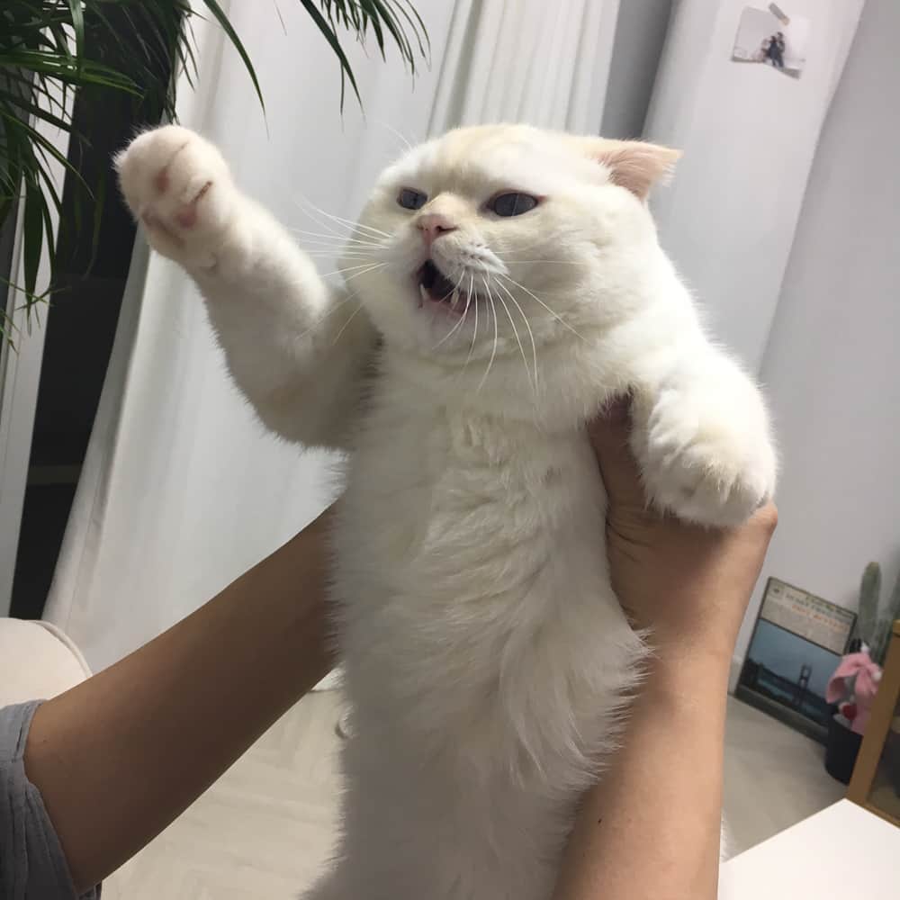 SoonMooのインスタグラム
