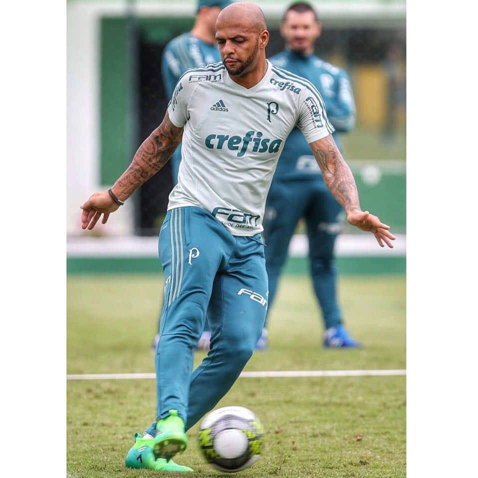 フェリペ・メロのインスタグラム：「🐷💚🔝 @felipemelo」