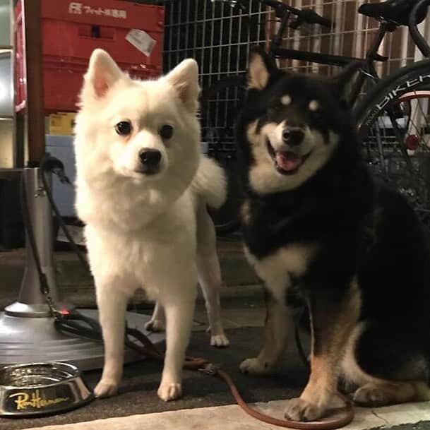 眞鍋さゆりのグルメインスタ