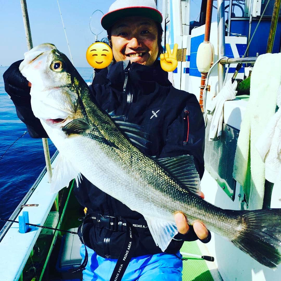 川田紳司のインスタグラム：「ライト泳がせ釣りでシーバスget( ˊ̱˂˃ˋ̱ ) #葉山沖 #シコイワシ #sea bass」
