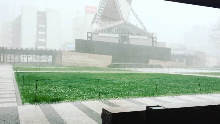 雪浦聖子のグルメインスタ