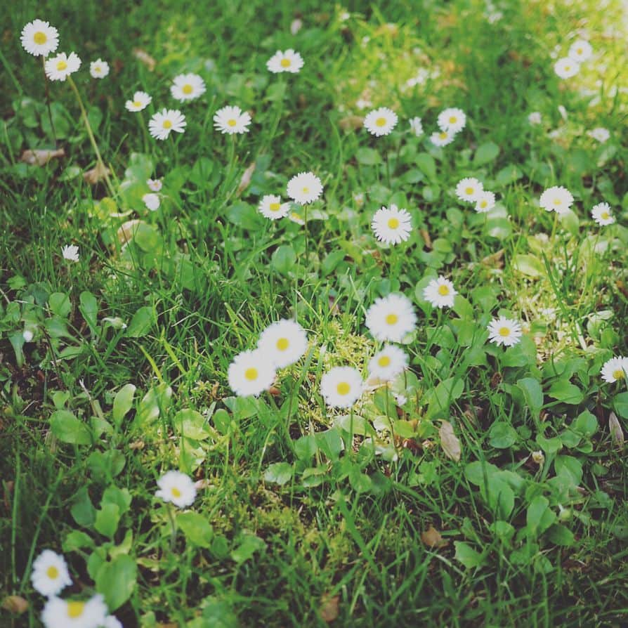 小川淳子さんのインスタグラム写真 - (小川淳子Instagram)「お食事前に アペリティフ 🍾 この文化  日本にもあればいいのにな〜🤗 藤の花が満開でした♡  太陽の光を沢山浴びて 少し日焼けしました 😎  #beautiful #藤の花 #アペリティフ#italy #旅の思い出」4月16日 17時33分 - junkoogawa1225