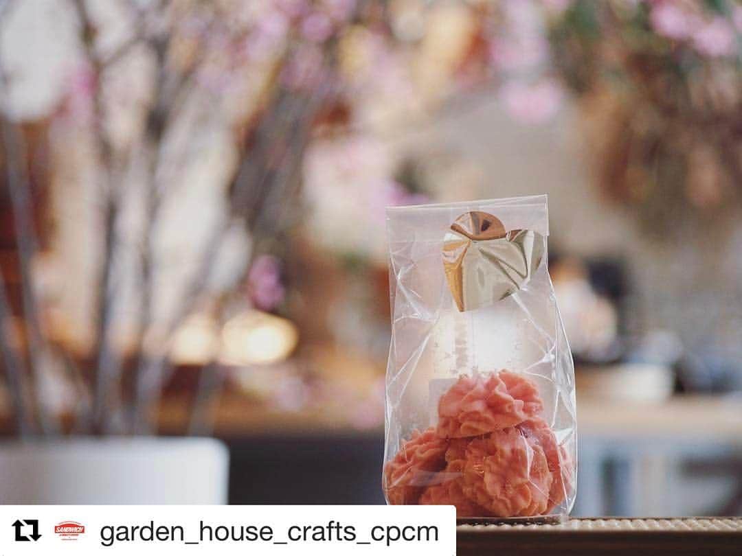 CPCMのグルメインスタ