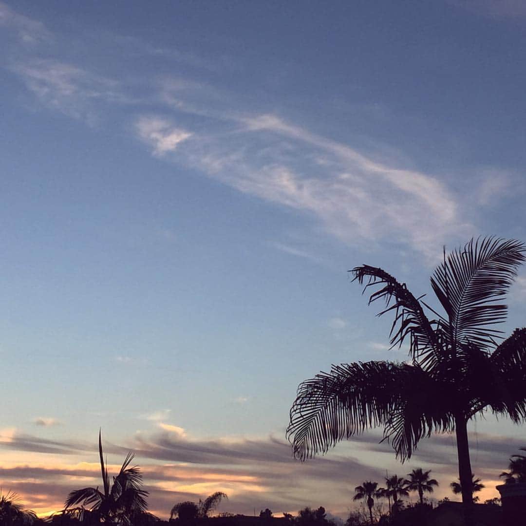 武田久美子さんのインスタグラム写真 - (武田久美子Instagram)「#kumikotakeda #california #sunsets」3月25日 13時06分 - kumikotakedaofficial