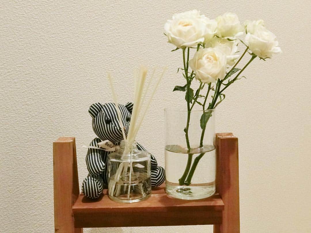 大戸千絵さんのインスタグラム写真 - (大戸千絵Instagram)「#home . . . 玄関先に #Bellavista のテディベア(ᵔᴥᵔ) に合わせて白薔薇🌱 白だといやらしくなく ひっそりと上品にしてくれました。 #合わせてないけど #ディフューザーもshiro #shiro の#whitetea #いい香りです #玄関インテリア」3月25日 15時48分 - chie_ohto