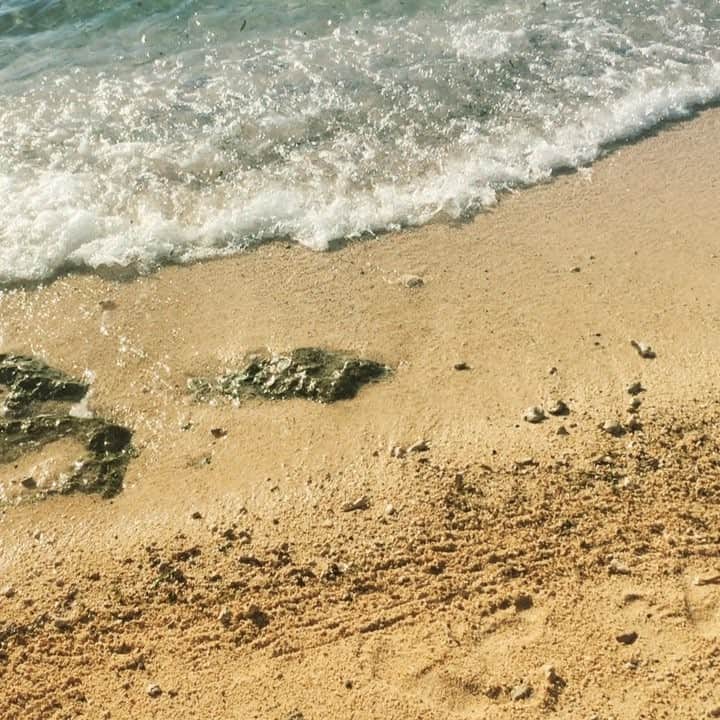 芹澤つばさのインスタグラム：「🌺🌴🍹👙✨💕🐠🌴 #海の透明度#cebu #beach#makutan#Philippine#resort#trip#白い砂#青い海#シュノーケリング#マリンスポーツ#歌舞伎町 #キャバ嬢」